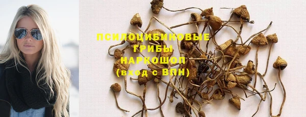 стаф Верхнеуральск